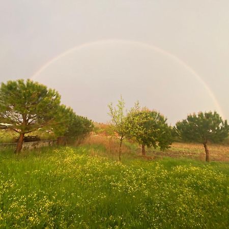 Vapori Otel Bozcaada Bagian luar foto